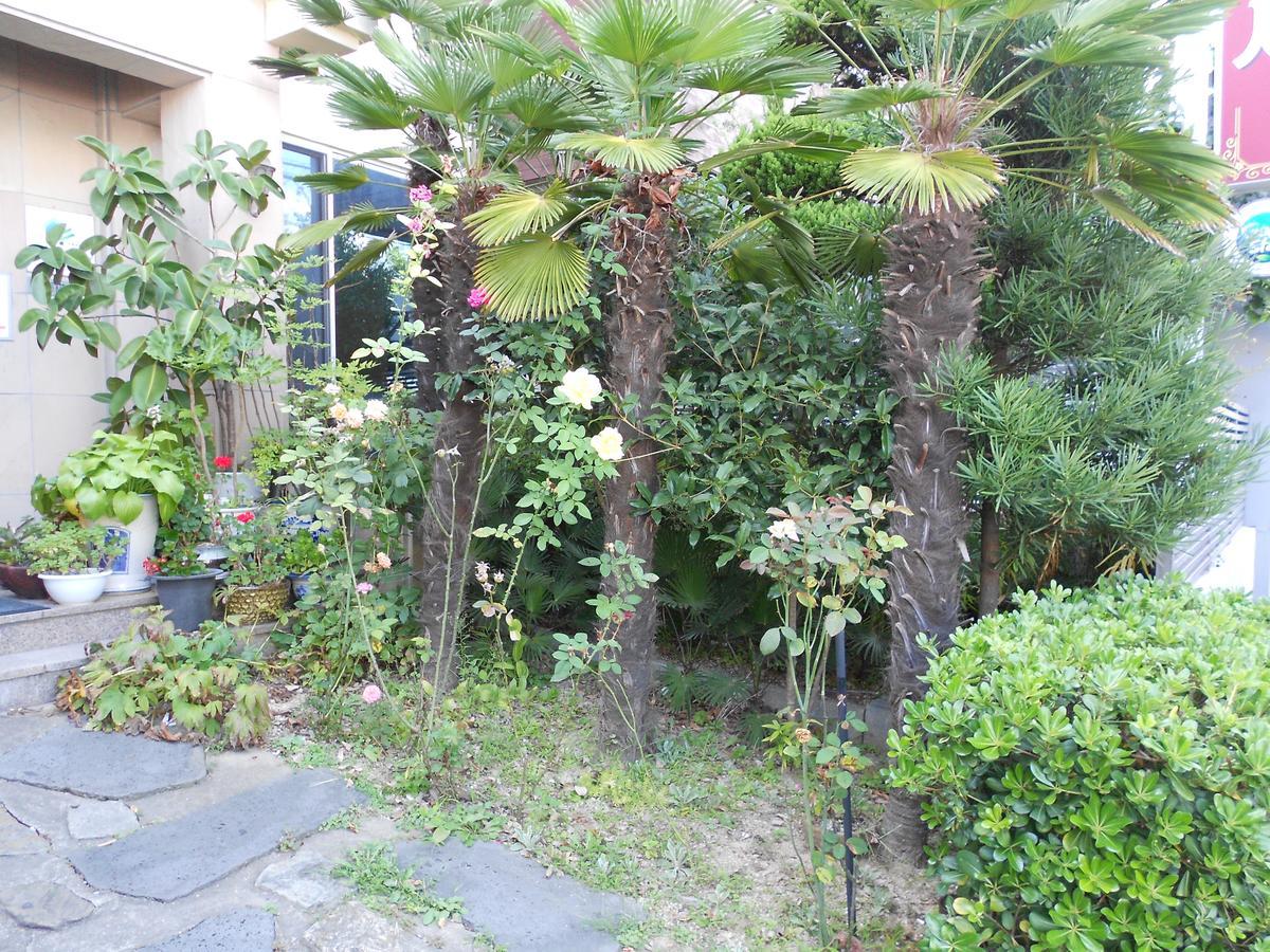 シャルマント ホテル 木浦市 エクステリア 写真