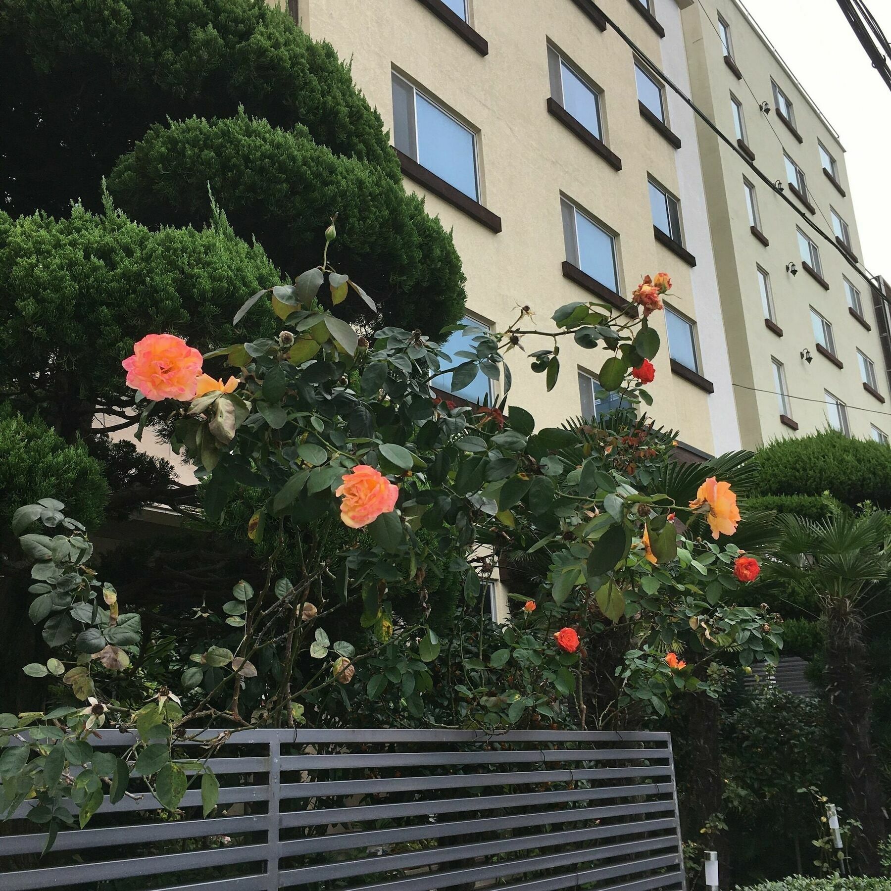 シャルマント ホテル 木浦市 エクステリア 写真